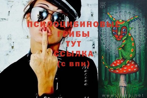 мяу мяу мука Вязьма