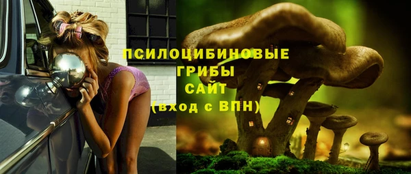 Альфа ПВП Вязники