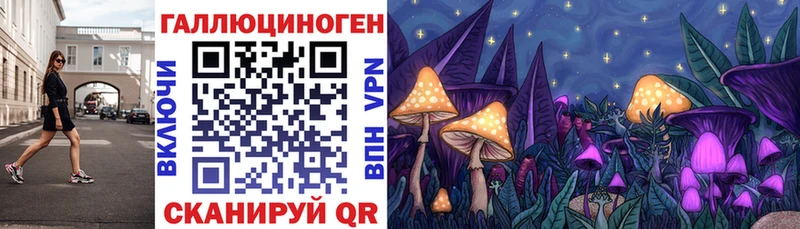 Псилоцибиновые грибы прущие грибы  МЕГА как войти  Джанкой 